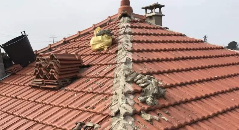 Remplacement de tuiles bris&eacute;es