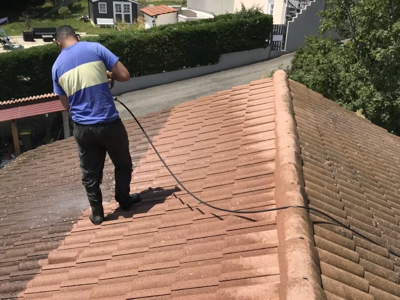 D&eacute;moussage toiture curatif